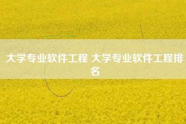 大学专业软件工程 大学专业软件工程排名