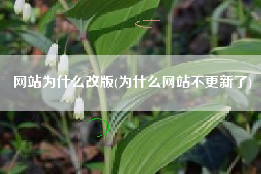 网站为什么改版(为什么网站不更新了)