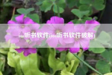 ios听书软件(ios听书软件破解)