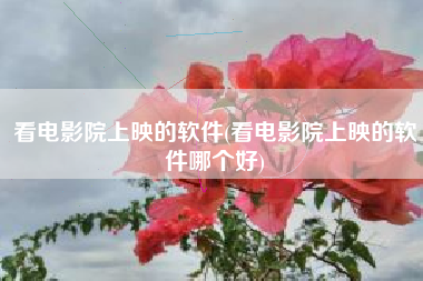 看电影院上映的软件(看电影院上映的软件哪个好)