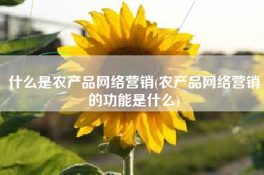 什么是农产品网络营销(农产品网络营销的功能是什么)
