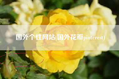 国外个性网站(国外花瓣pinterest)