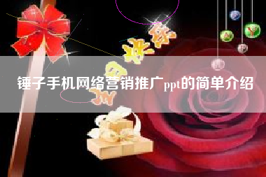 锤子手机网络营销推广ppt的简单介绍