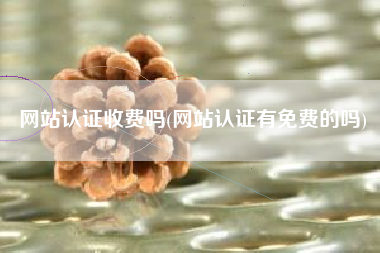 网站认证收费吗(网站认证有免费的吗)