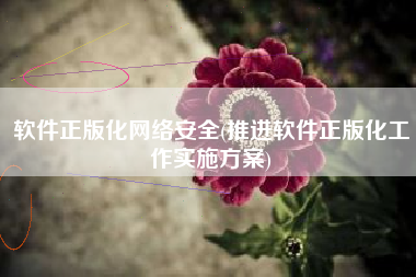 软件正版化网络安全(推进软件正版化工作实施方案)