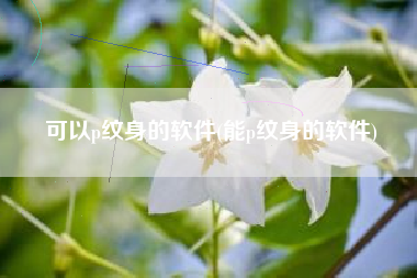 可以p纹身的软件(能p纹身的软件)