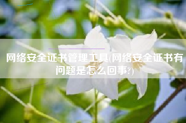 网络安全证书管理工具(网络安全证书有问题是怎么回事?)