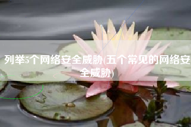 列举5个网络安全威胁(五个常见的网络安全威胁)