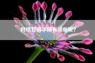 网络营销手段有哪些呢？