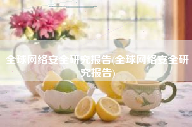 全球网络安全研究报告(全球网络安全研究报告)