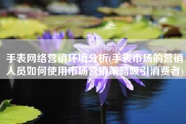 手表网络营销环境分析(手表市场的营销人员如何使用市场营销策略吸引消费者)