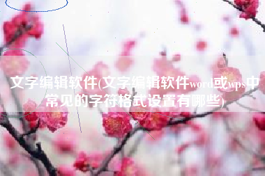 文字编辑软件(文字编辑软件word或wps中常见的字符格式设置有哪些)