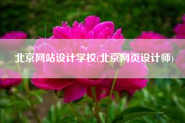 北京网站设计学校(北京网页设计师)