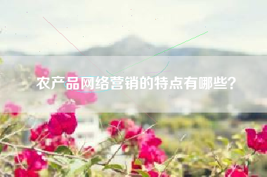 农产品网络营销的特点有哪些？