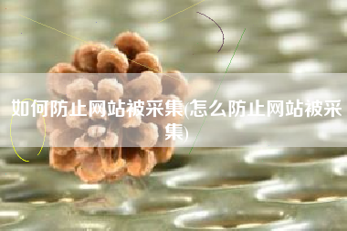 如何防止网站被采集(怎么防止网站被采集)