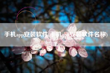 手机app安装软件(手机app安装软件名称)