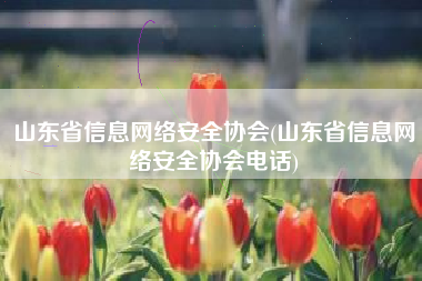 山东省信息网络安全协会(山东省信息网络安全协会电话)