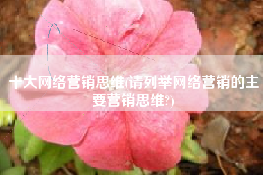 十大网络营销思维(请列举网络营销的主要营销思维?)
