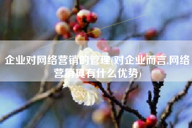 企业对网络营销的管理(对企业而言,网络营销具有什么优势)