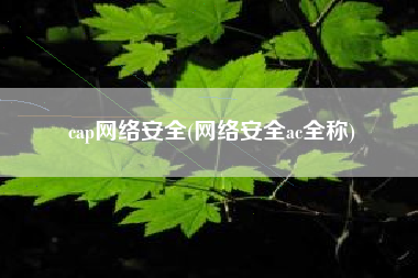 cap网络安全(网络安全ac全称)