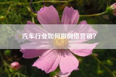 汽车行业如何做网络营销？