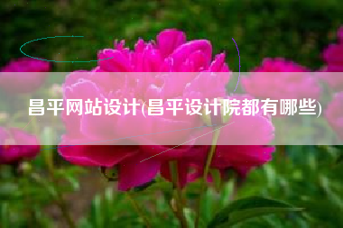 昌平网站设计(昌平设计院都有哪些)