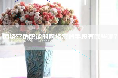 网络营销职能的网络营销手段有哪些呢？