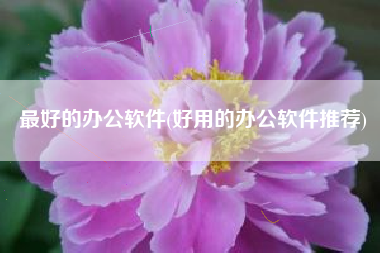 最好的办公软件(好用的办公软件推荐)