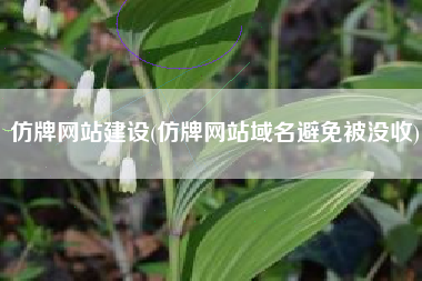 仿牌网站建设(仿牌网站域名避免被没收)