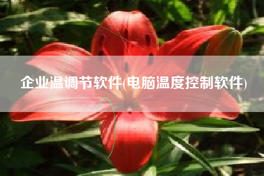 企业温调节软件(电脑温度控制软件)