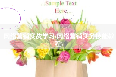 网络营销实战学习(网络营销实务技能教程)