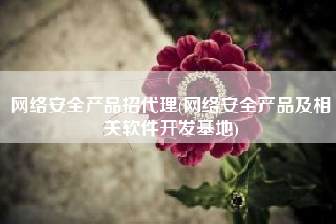 网络安全产品招代理(网络安全产品及相关软件开发基地)