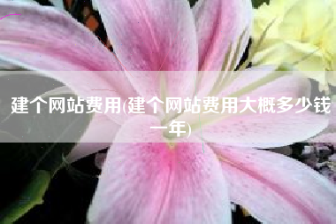建个网站费用(建个网站费用大概多少钱一年)