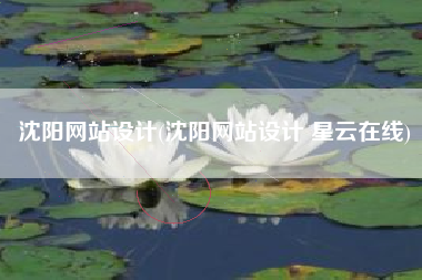 沈阳网站设计(沈阳网站设计 星云在线)