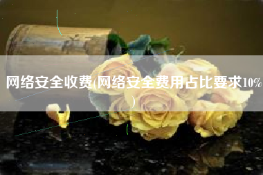 网络安全收费(网络安全费用占比要求10%)