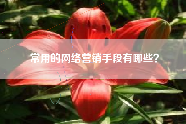 常用的网络营销手段有哪些？