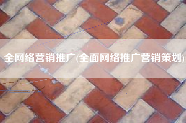 全网络营销推广(全面网络推广营销策划)