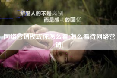 网络营销模式你怎么看(怎么看待网络营销)