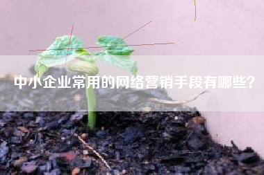 中小企业常用的网络营销手段有哪些？