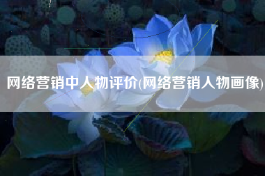 网络营销中人物评价(网络营销人物画像)