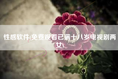 性感软件(免费观看已满十八岁电视剧两女)