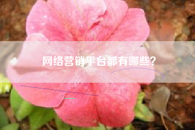 网络营销平台都有哪些？