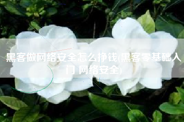 黑客做网络安全怎么挣钱(黑客零基础入门 网络安全)