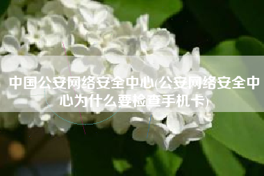 中国公安网络安全中心(公安网络安全中心为什么要检查手机卡)