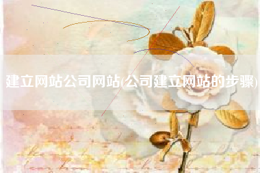 建立网站公司网站(公司建立网站的步骤)