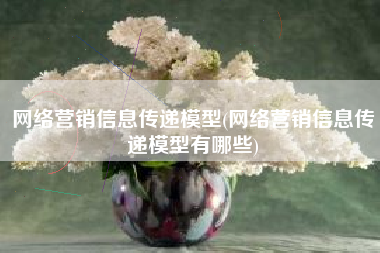 网络营销信息传递模型(网络营销信息传递模型有哪些)