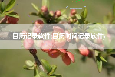 日历记录软件(日历时间记录软件)