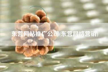 东营网站推广公司(东营网络营销)