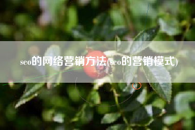 seo的网络营销方法(seo的营销模式)
