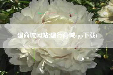 建商城网站(建行商城app下载)